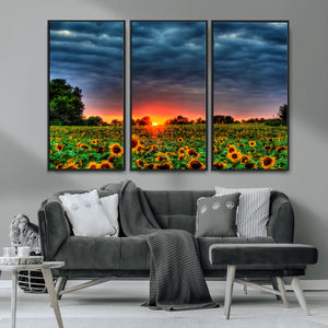 Golden Sunflower Field at Sunset – Breathtaking Sky and