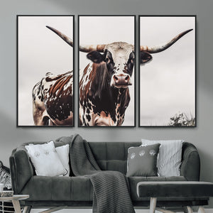 Texas Longhorn Wall Art Canvas Print – Framed Spotted Bull