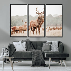Rustic Nature Wall Art Canvas Print – Stag Woodland Framed