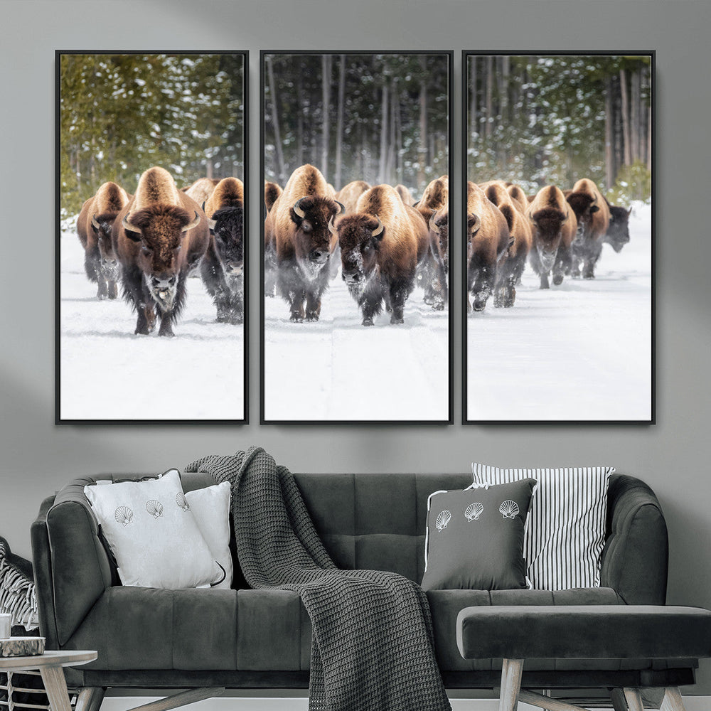 American Bison Herd Wall Art Canvas Print – Powerful Winter