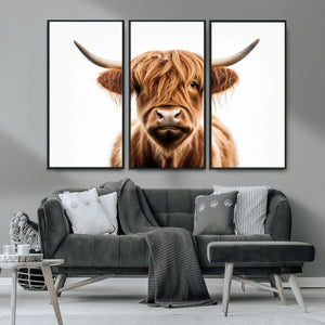 Scottish Highland Cow Canvas Print, Framed Highland Cow