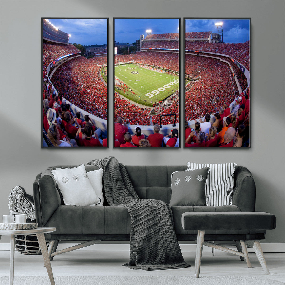 Dooley Stadium Wall Art, Sports Arena Canvas Print, Dooley