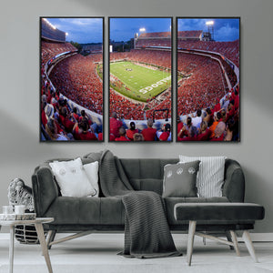 Dooley Stadium Wall Art, Sports Arena Canvas Print, Dooley