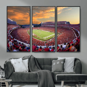 Dooley Stadium Wall Art, Sports Arena Canvas Print, Dooley