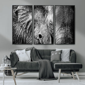 Wild Old Elephant Wall Art Canvas Print