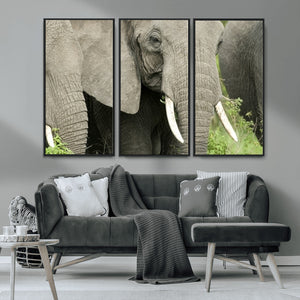 Wild Elephant Wall Art Canvas Print