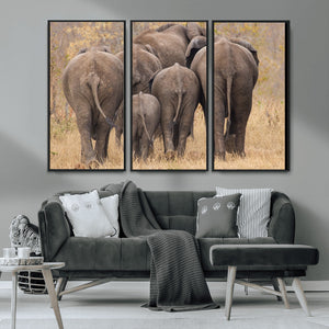 Wild Elephant Wall Art Canvas Print