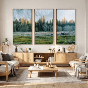 Forest Meadow Wall Art Canvas Print, Pine Tree Landscape