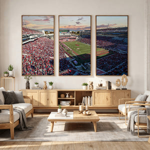 Donald W. Reynolds Razorback Stadium Wall Art Canvas Print –