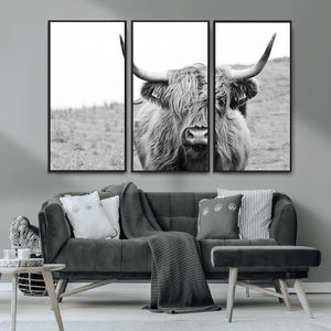 Newfoundland Cow Art Wall Art, Black White Cow Art Wall Art
