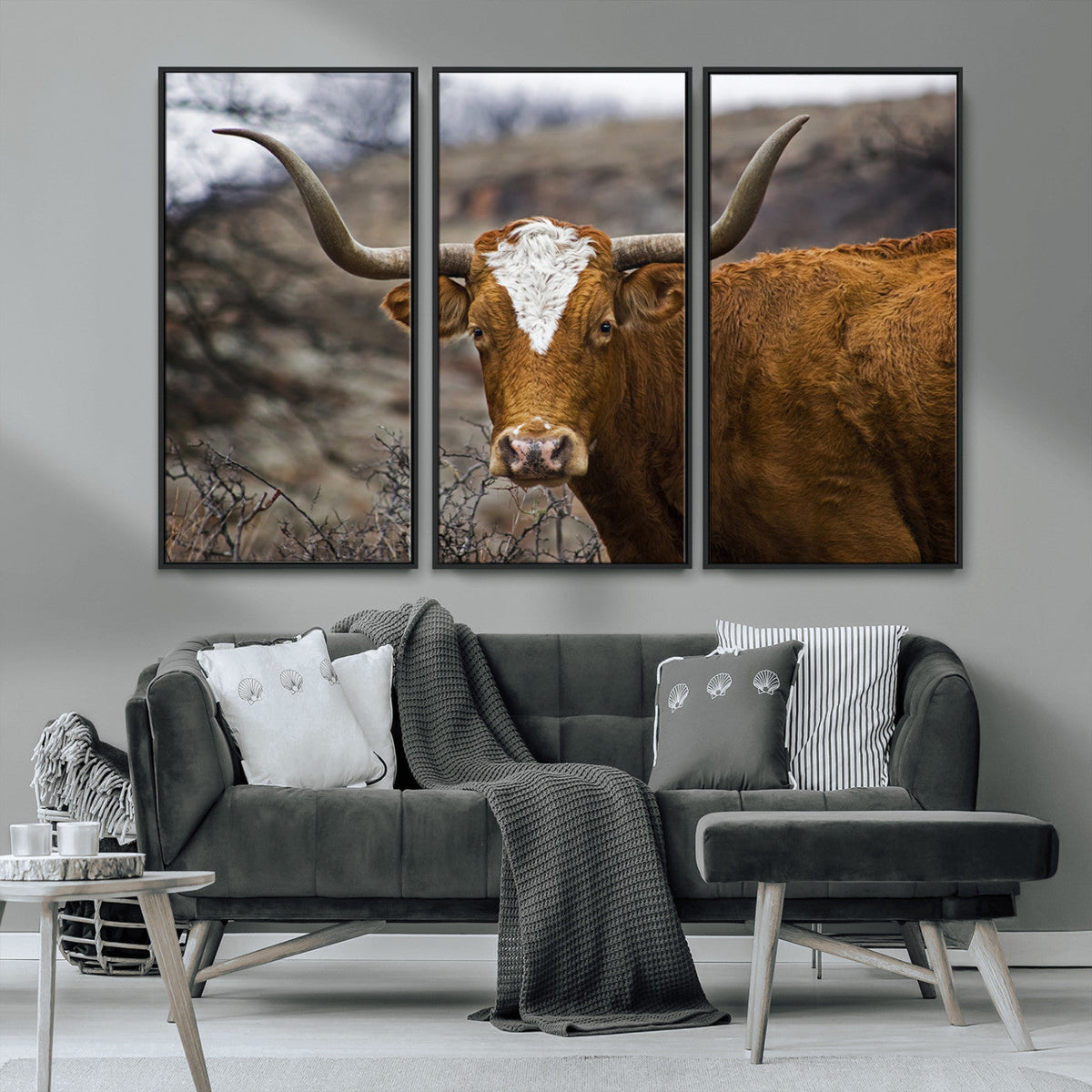 Texas Longhorn Canvas Wall Art - Longhorn Steer Canvas Wall