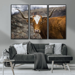 Texas Longhorn Canvas Wall Art - Longhorn Steer Canvas Wall