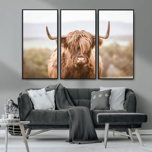 Scottish Serene Highland Cow Canvas Wall Art – Serene