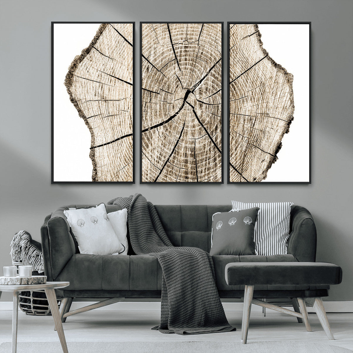 Abstract Wood Tree Ring Wall Art - Ready to Hang Minimalist