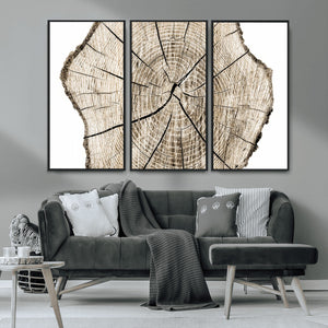 Abstract Wood Tree Ring Wall Art - Ready to Hang Minimalist