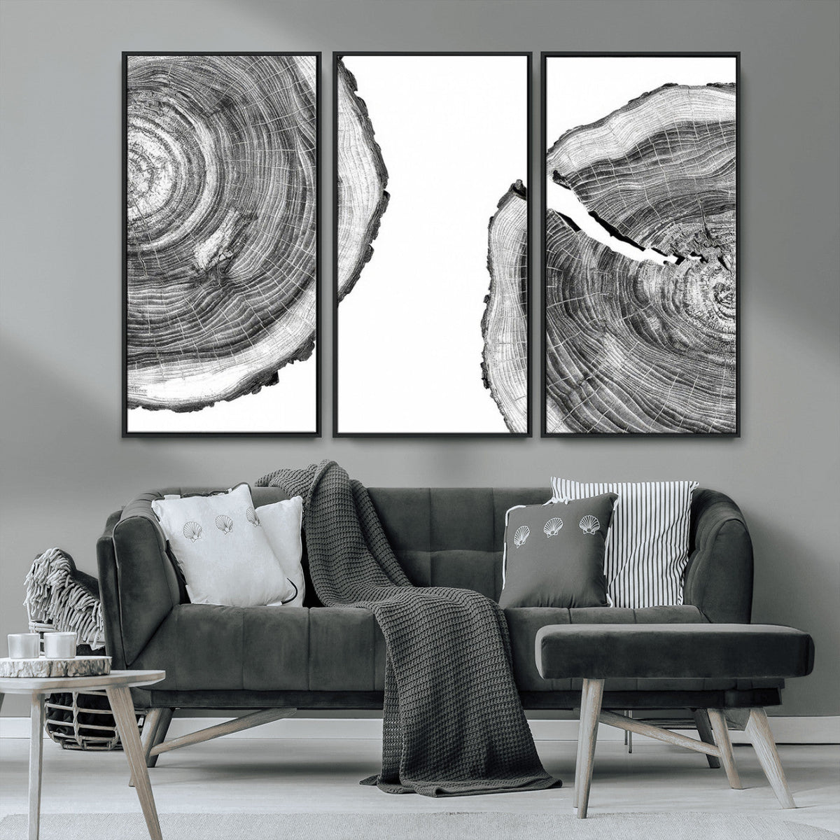 Abstract Large Tree Rings – Minimalist Black and White Wood