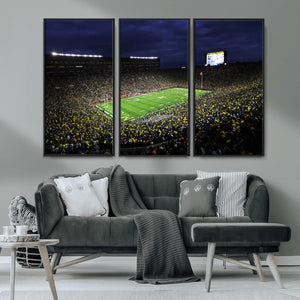 Michigan Wolverines Football Canvas Wall Decor, Football
