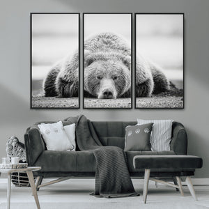Resting Grizzly Bear Wall Art Canvas Print – Majestic Lazy