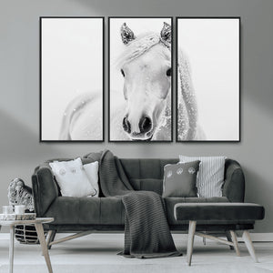 Majestic White Horse Wall Art | Ready to Hang and Framed |