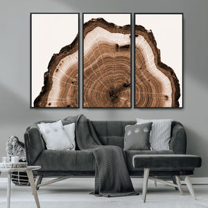 Rustic Wood Rings Wall Art | Nature-Inspired Tree Ring