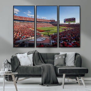 Florida Tampa Raymond James Stadium Wall Art Canvas Print -