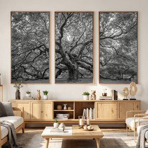 Majestic Angel Oak Tree Black and White Canvas Print – Multi
