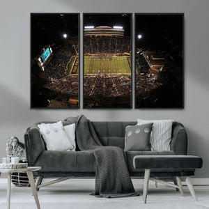 Wake Forest University Demon Deacons Canvas Printi, Football