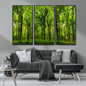 Lush Green Forest Canvas Print | 3-Panel Forest Wall Art |