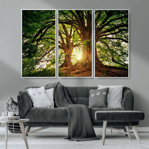 Majestic Ancient Tree Wall Art, NatureCanvas Print, Woodland