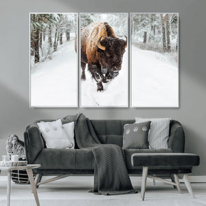 Bison Wall Art Canvas Print For Farmhouse, Animal Canvas