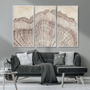 Tree Ring Wall Art Triptych, Rustic Wood Ring Canvas Print,