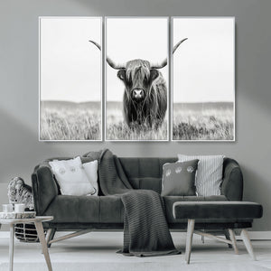 Highland Cow Canvas Wall Art – Majestic Beauty in Black and