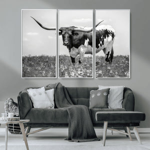Texas Black White Highland Longhorn Cow Wall Art Canvas