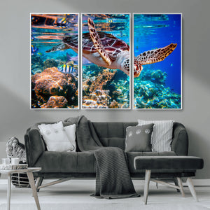 Underwater Coral Reef Sea Turtle Wall Art Canvas Print,