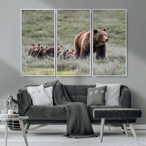 Wildlife Photography of 399 Grizzly Bear Cubs | Queen of the