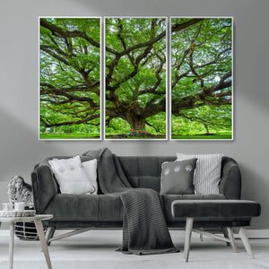 Angel Oak Tree Wall Art Canvas Print – Framed Majestic