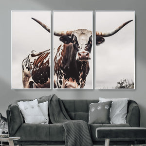Texas Longhorn Wall Art Canvas Print – Framed Spotted Bull