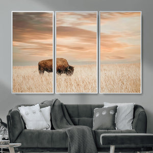 MyCanvas -