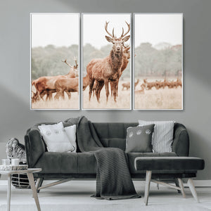 Rustic Nature Wall Art Canvas Print – Stag Woodland Framed