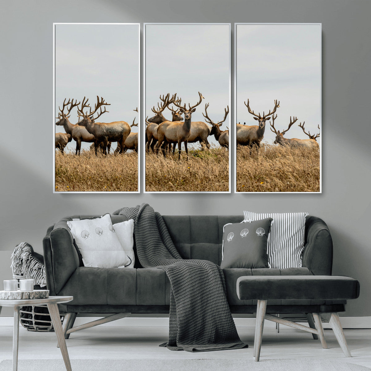 Elk Herd Wall Art Canvas Print – Framed Wildlife Photography