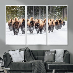 American Bison Herd Wall Art Canvas Print – Powerful Winter
