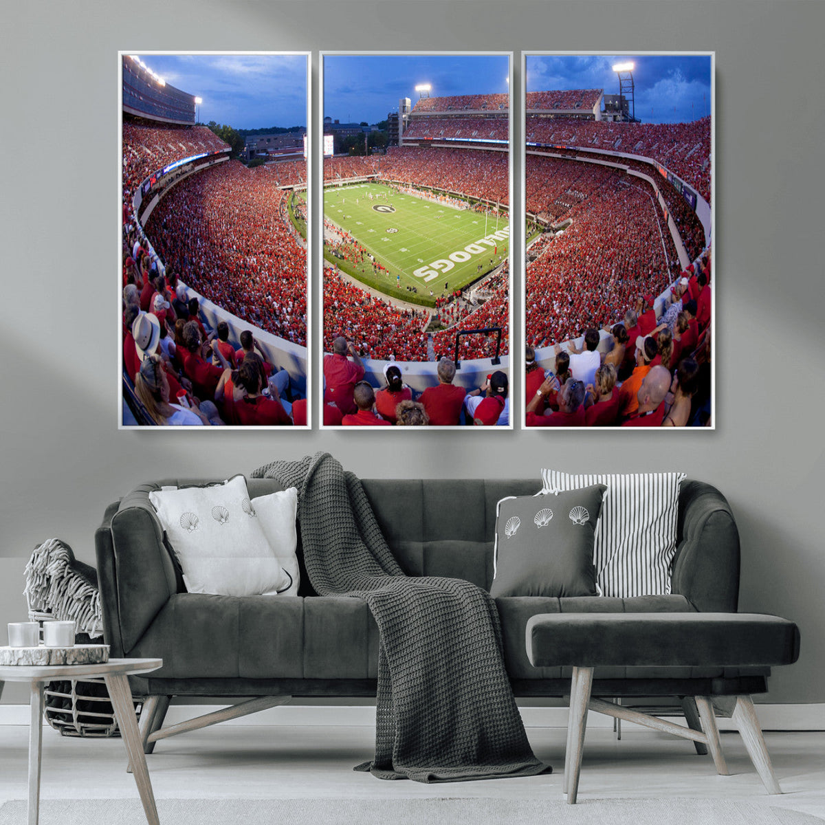 Dooley Stadium Wall Art, Sports Arena Canvas Print, Dooley
