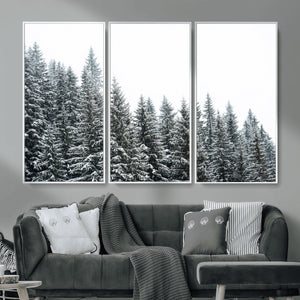 Misty Mountain Forest Canvas Print, Foggy Pine Trees Nature