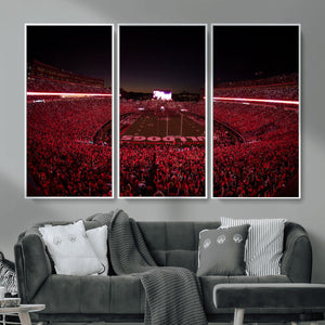 Sanford Stadium Wall Art Canvas Print – Georgia Bulldogs