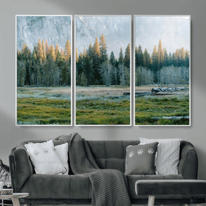 Forest Meadow Wall Art Canvas Print, Pine Tree Landscape