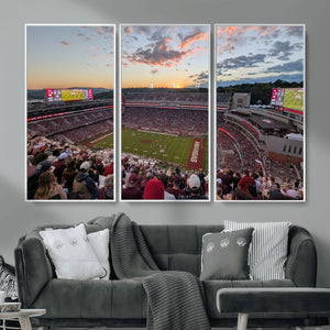 Donald W. Reynolds Razorback Stadium Wall Art Canvas Print –