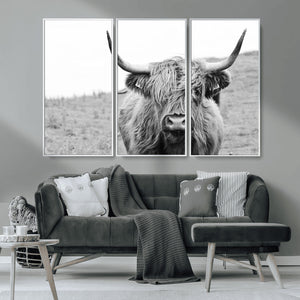Newfoundland Cow Art Wall Art, Black White Cow Art Wall Art