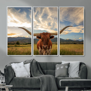 Texas Longhorn Canvas Wall Art – Majestic Triptych Animal
