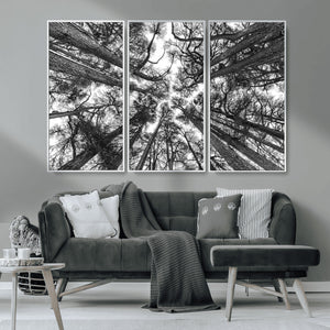 Trees Contemporary Art Canvas Print