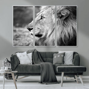 Lion Wall Art Canvas Print – Framed Majestic Wildlife